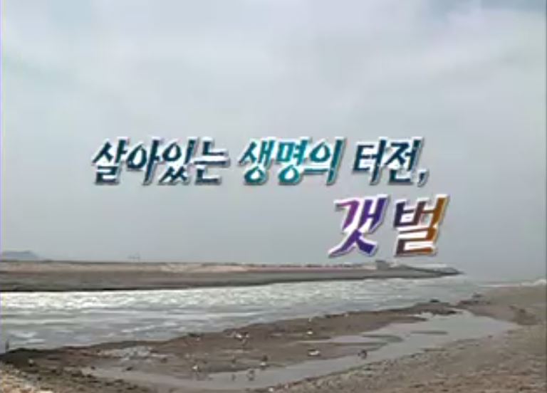 방송