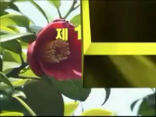 방송