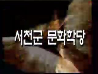 방송