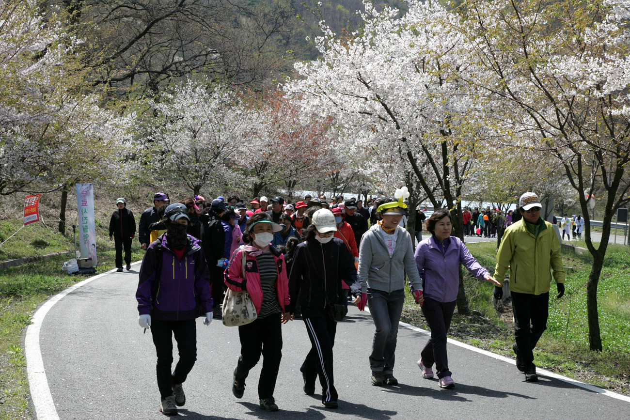 지난해 열린 산벚꽃길 축제