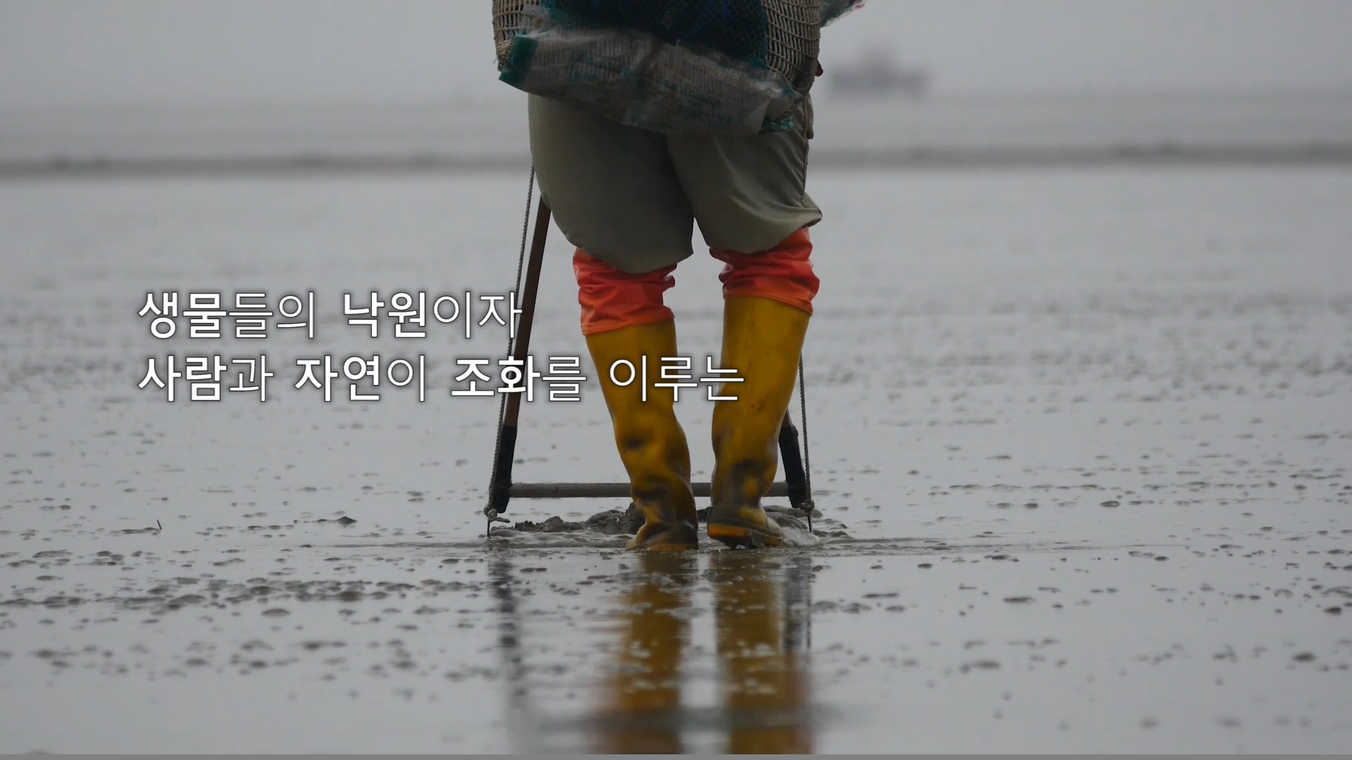 방송