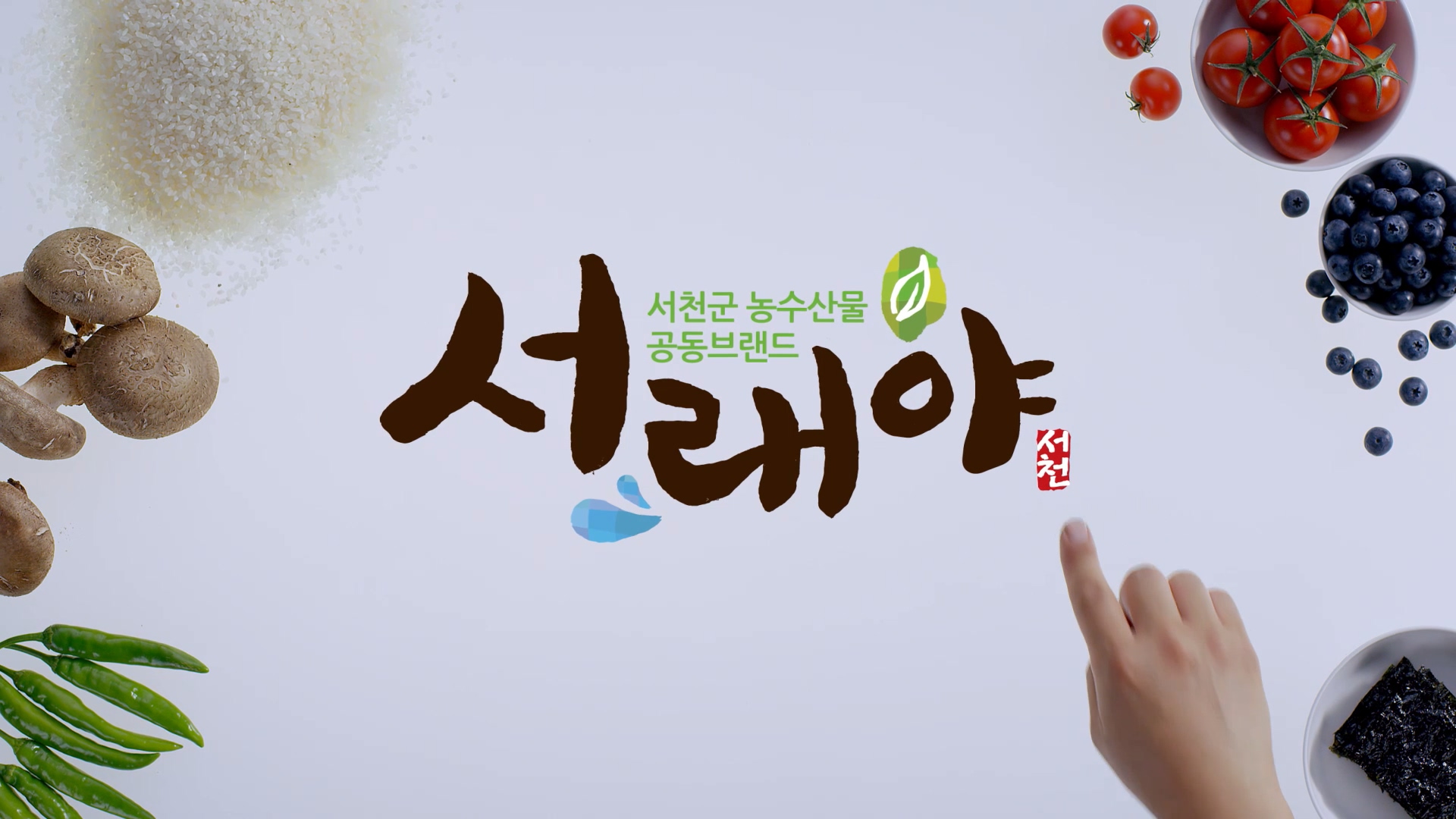방송