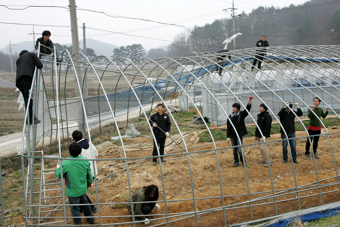 서천군, 강풍 피해농가에 실질적인 봉사활동 펼쳐