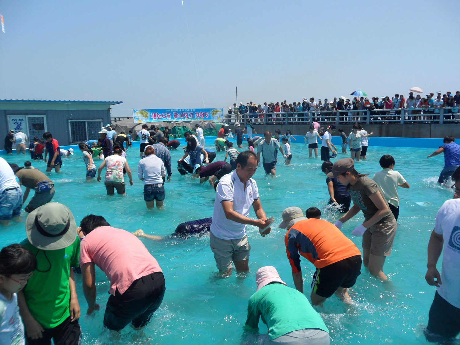 서천군 자연산 광어 도미 축제 성황리 마쳐