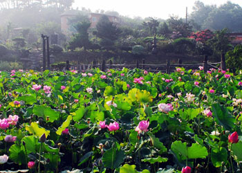 이색체험마을 이미지