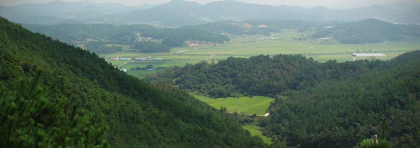 千房山の風光