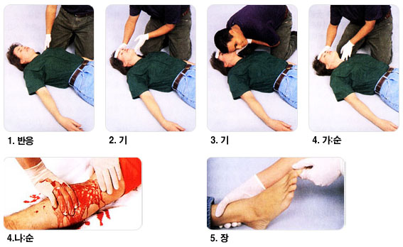 1.반응|2.기|3.기|4.가:순|4.나:순|5.장