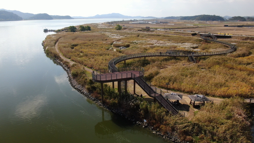 신성리갈대밭