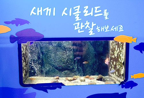 교육 및 전시의 장