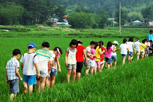 황새마을