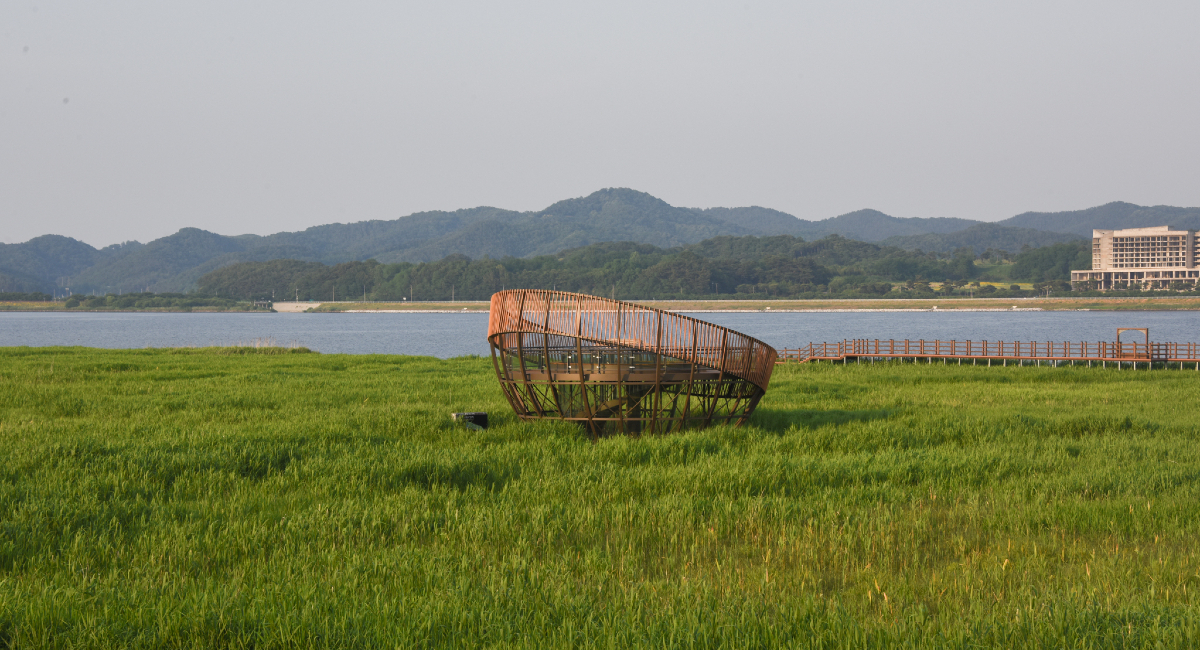 신성리갈대밭_여름 (5)