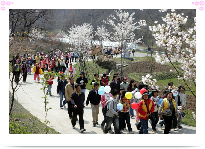 17일 판교면, 