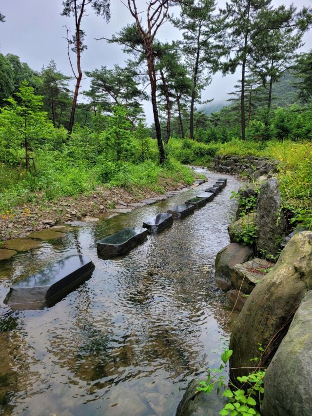 7월 야외족욕장