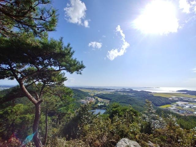 치유의 숲/문수산 위에서