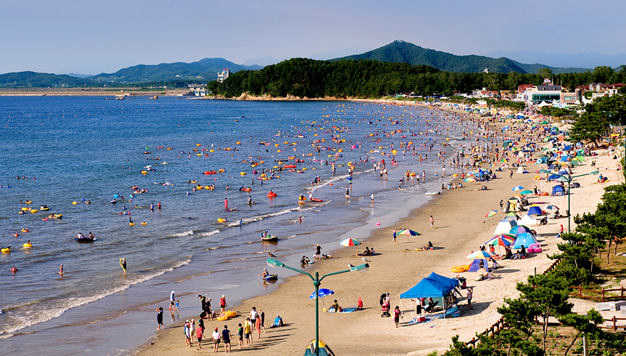 춘장대해수욕장 바다처럼 푸르른 해송과 아카시아 숲이 어우러진 고운 찰 모래의 활처럼 흰 백사장이 있는 춘장대해수욕장은 특히 가족단위 관광 휴양지로 널리 알려져있다.